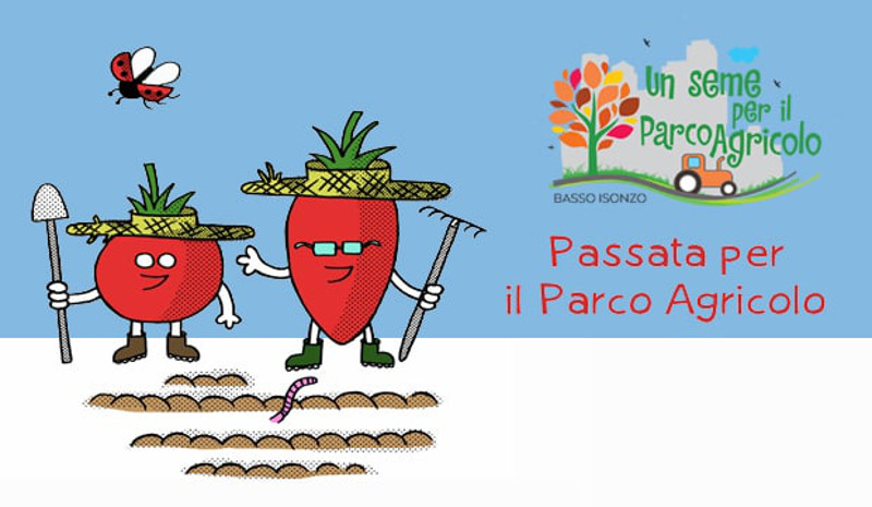Passata-per-il-parco-agricolo-Basso-Isonzo-Padova