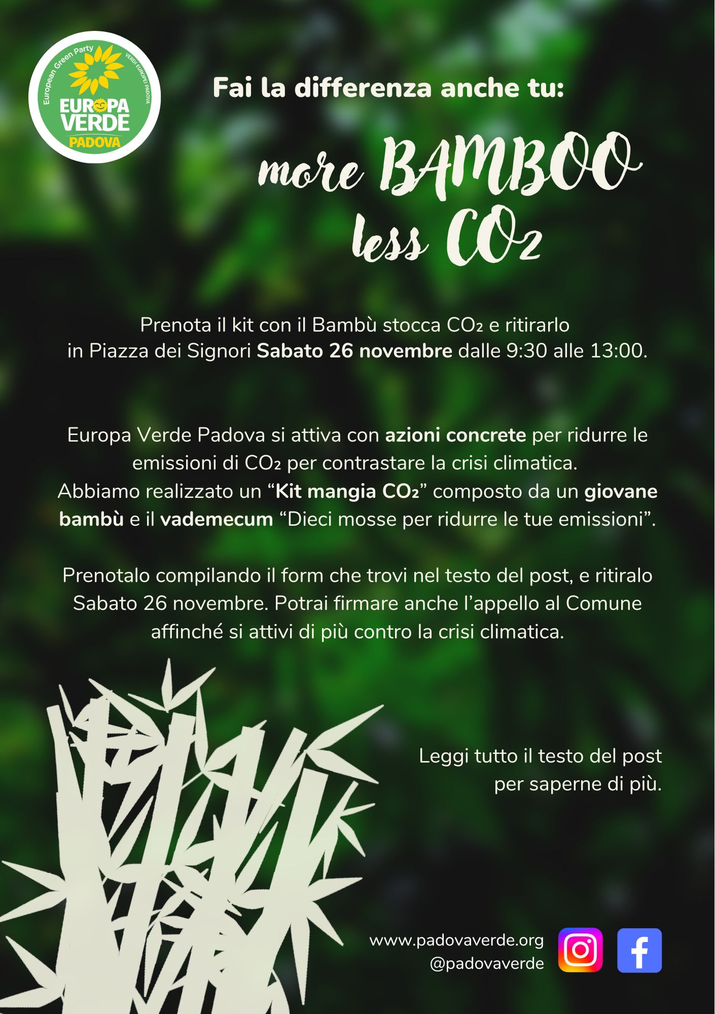 Fai La Differenza Anche Tu More Bamboo Less Co Europa Verde Padova Verdi