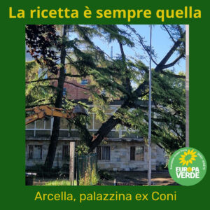 Alberi-tagliati-Piazzale-Azzurri-d-Italia